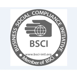 BSCI社会责任验厂服务