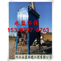 秦皇岛玻璃厂4吨锅炉除尘设备粉尘净化装置