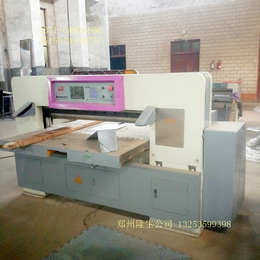 切纸机生产厂家 郑州隆生机床制造 1420液压数显程控切纸机