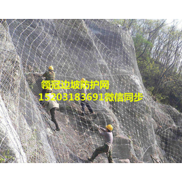 山体滑坡防护网供应商,盘锦山体滑坡防护网,山体滑坡防护网安装