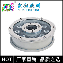 霓彩 LED喷泉灯12W NC-SD-P12