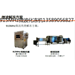 山东科弘技术革新升级、微波冻品解冻设备、巴州微波冻品解冻设备