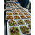 东莞工厂食堂承包每人每天10元饭堂承包缩略图3