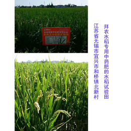 包头生物有机肥、拜农生物、水稻生物有机肥的优点