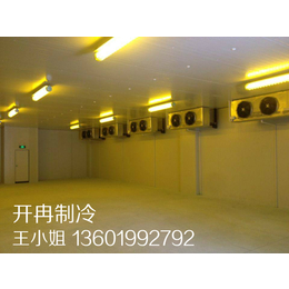 上海建一个800立方冷库安装造价需要多少钱