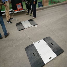 眉山汽车超限检测仪两块板动态称重