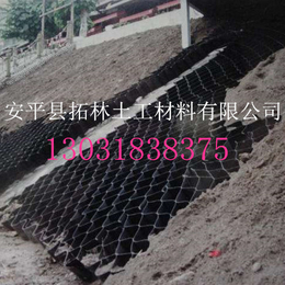 蜂巢土工格室 排水路面*土工格室 HDPE片材 价格优惠