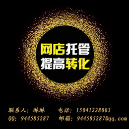 沈阳淘宝网店托管新品打造****