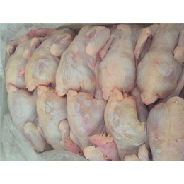 鞍山小草鸡,永和禽业保证产品质量,小草鸡价格