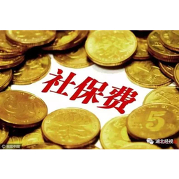 新成立公司如何办理广州社保广州社保办理****咨询