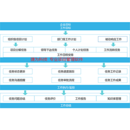 信息化项目管理系统开发公司