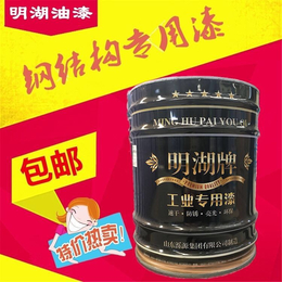 环氧带锈防锈底漆钢结构配套底漆金属防腐防锈工业涂料****拿样缩略图