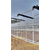 河南大型温室大棚骨架加工企业供应几型钢日光温室缩略图4
