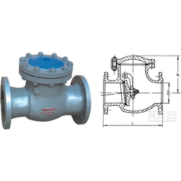 H44H止回阀 旋启式止回阀 单向止回阀 铸钢止回阀