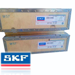 宁河SKF轴承、SKF轴承6007-2Z/C3、泉本动力