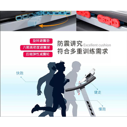 北京康家世纪贸易(图)、哪个品牌的跑步机好、跑步机