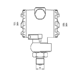 压力变送器选型、压力变送器、北京中环蔚蓝(查看)