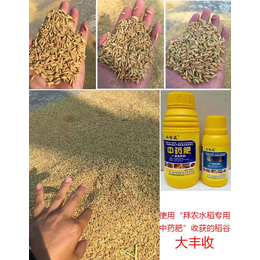 生物有机肥|拜农中药叶面肥|通用型水稻生物有机肥