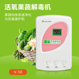 斯特亨多功能鲜氧果蔬*机V-50 果蔬清洗机 家用洗菜机