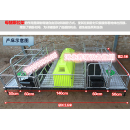 养猪设备厂家供应双体两个位母猪产床高配产仔栏缩略图