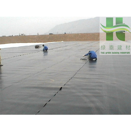 广安地下室排水板南充建筑塑料防水板