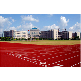 塑胶跑道造价、众鼎体育设施、天津塑胶跑道