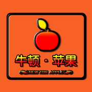 郑州市牛顿苹果科技有限公司