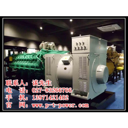 武汉发电机租赁(图),备用发电机供应,备用发电机