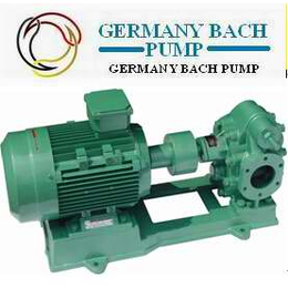 进口齿轮油泵_AAA德国巴赫工业BACH