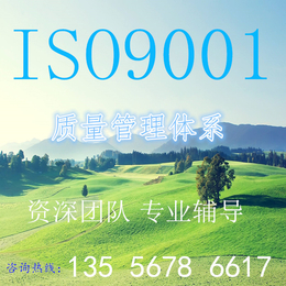 ISO9001质量管理体系认证...缩略图