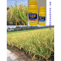 鹤岗叶面肥|拜农中药叶面肥|进口水稻叶面肥