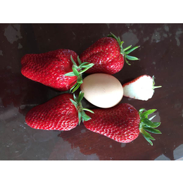 宁丰草莓苗|草莓苗|乾纳瑞农业科技优惠价(图)