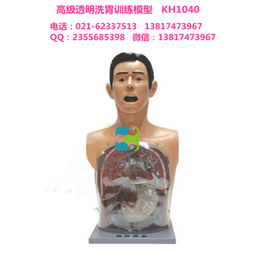 康为医疗KH1040*透明洗胃训练模型