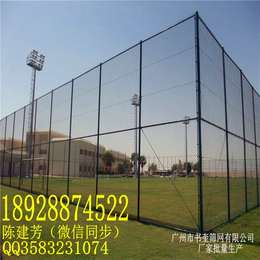 潮州篮球场围栏,书奎筛网有限公司,室外篮球场围栏高度