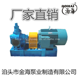 小型齿轮泵 电动铸铁管道泵YCB3-0.6 供应单级小型油泵