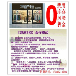 芝麻E柜精品折扣加盟店 合伙开店 ****铺货 * 无压力