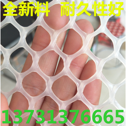 3毫米小孔塑料网 水产养殖塑料网 *无味纯新料 使用年限长 缩略图