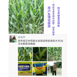 拜农中药叶面肥(多图)_水稻有机肥的配比原则_济宁有机肥