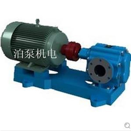 惠州大量批发供应 泊威ZYB-300渣油泵 泊威泵业厂家*