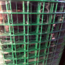 安平厂家供应PVC浸塑荷兰网 散养鸡鸭铁丝网 燕尾柱护栏网