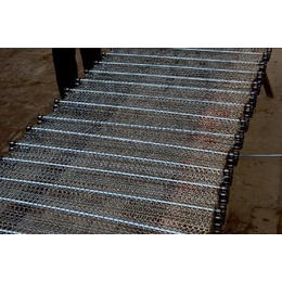 不锈钢网带批发|扬州链寶泉(在线咨询)|陕西不锈钢网带