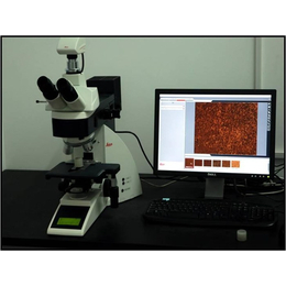 南充金相显微镜、欣晟泰、m*0金相显微镜买卖