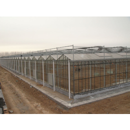 gp30智能玻璃温室大棚的建造及成本