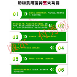 供应肉禽蛋禽*益生素****饲料引起的拉稀腹泻 