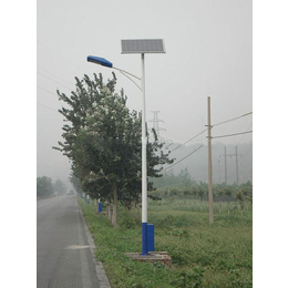 河北保定新农村建设5米6米灯杆30w光源太阳能路灯厂家*