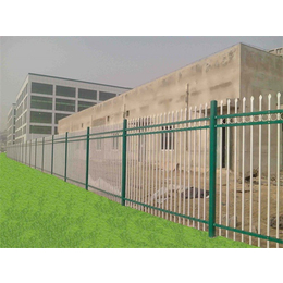 泰全护栏(图),锌钢围墙防护栏定制,郑州锌钢庭院防护栏
