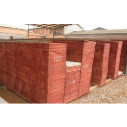 海南建筑木模板制作、宏发木业(在线咨询)、木模板