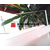 武汉孝感市pc耐力板厂家 透明乳白pc板广告牌灯箱pc板雨棚缩略图1