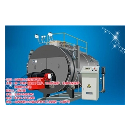 立式水管蒸汽锅炉|邦兴锅炉厂|山西立式水管蒸汽锅炉安装
