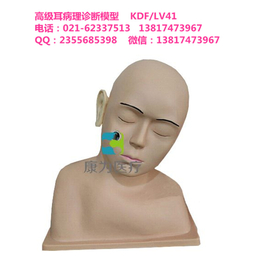 康为医疗KDFLV41*耳病理诊断模型